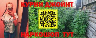 Альфа ПВП Гулькевичи