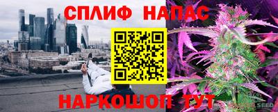 СК Гудермес