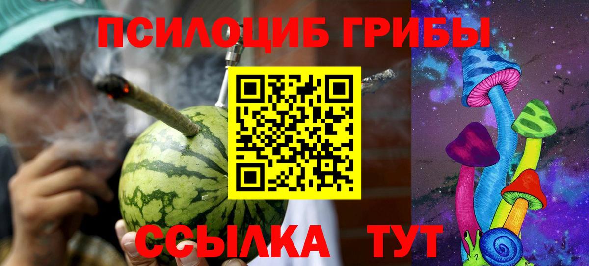 Псилоцибиновые грибы мицелий Городец